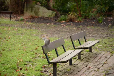 DSC_1218 (Large).JPG